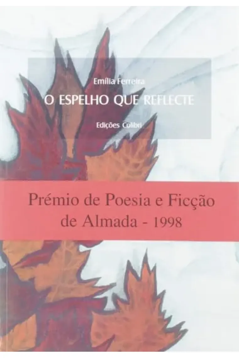 O Espelho Que Reflecte - Romance