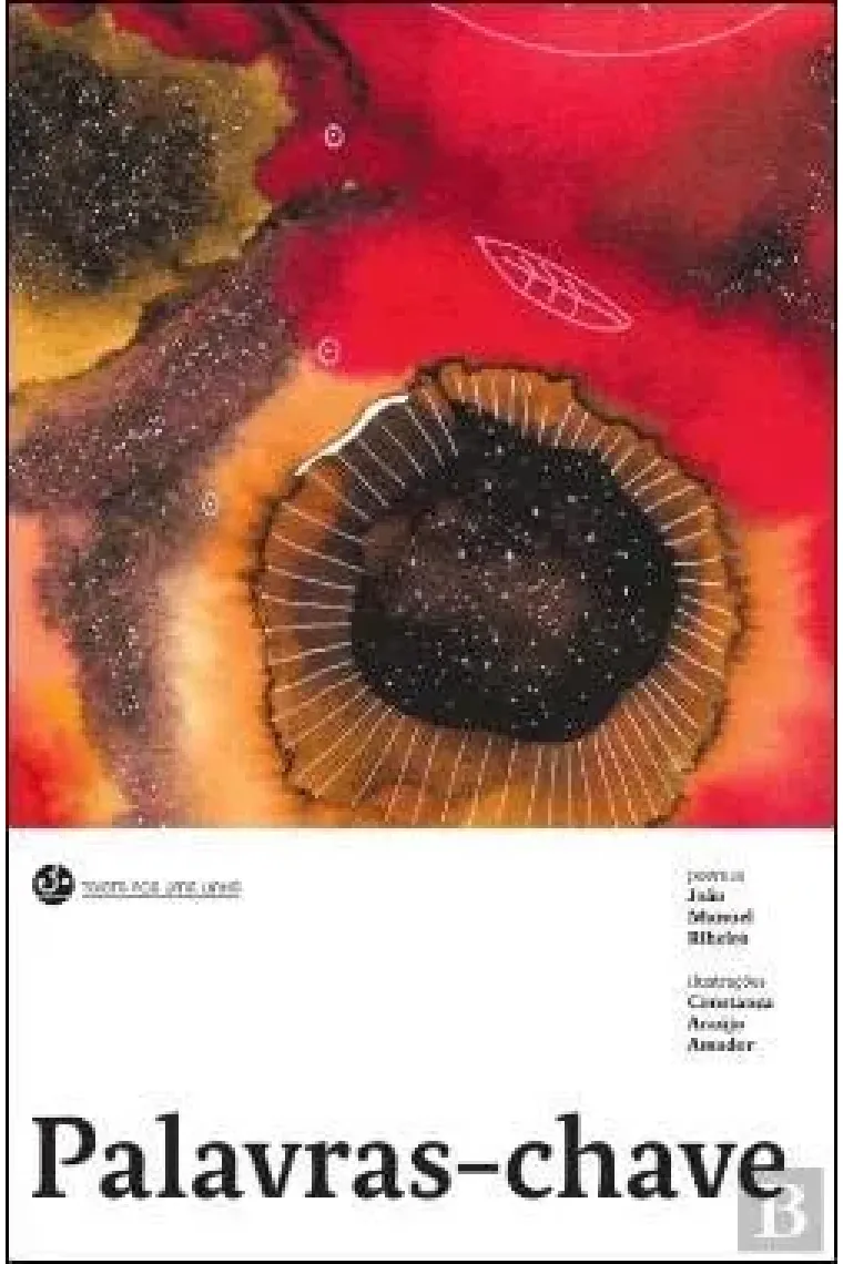 Palavras-chave (Portuguese Edition)