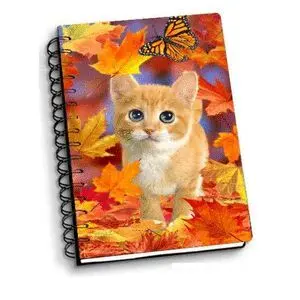 LIBRETA ESPIRAL A6 FALL KITTEN 3D